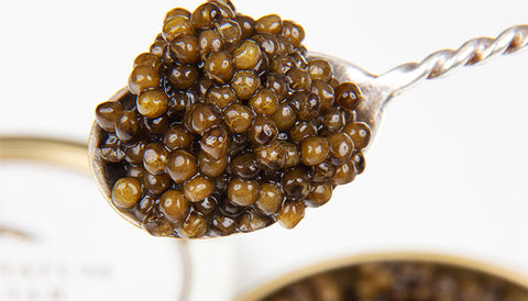What is Caviar and How to Serve it